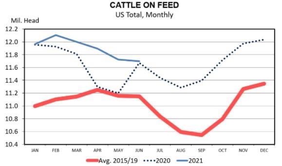 Summarizing the June Cattle on Feed Report