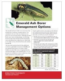 EAB management options publication cover