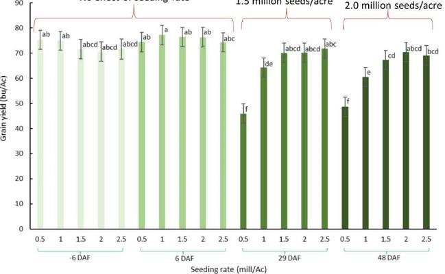 Figure 1. Effect of planting date and seeding rate on wheat grain yield in Wood County during the 2021-2022 growing season. (DAF = Days After Fly-Safe Date)