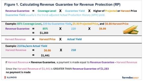 Coverage level x guarantee yield x higher of projected or harvest price