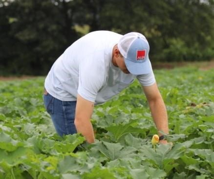 Auburn crop and soil science graduate Nathan Cornutt has helped his family fine-tune their ability to grow pumpkins and sunflowers in Marshall County