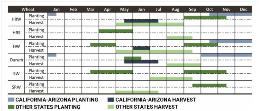 U.S. Winter Wheat Planting starts in September and can last into early November depending on conditions. Winter wheat must experience a period of significant cold days to signal reproductive growth, a process called vernalization.