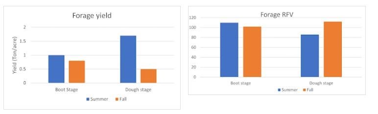Figure 4. Summer and fall forage yield and relative feed value (RFV) of intermediated wheatgrass when the summer harvest occurred at boot or dough stage.