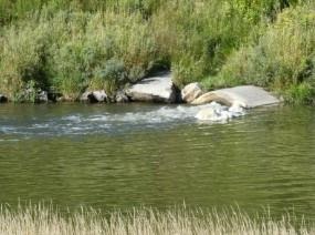 Although wastewater treatment reduces the threat of disease, another problem remains: nutrients