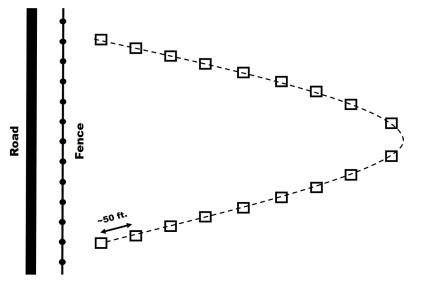 An example of a sampling pattern that can be used for grasshopper scouting