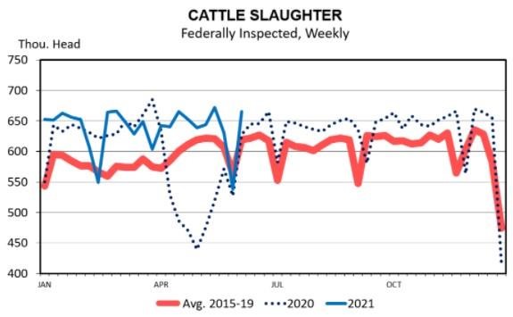 weekly slaughter chart
