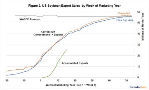 present the current pace of US export sales and shipments for corn and soybeans respectively