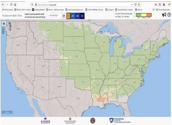 Risk of Fusarium head blight in wheat