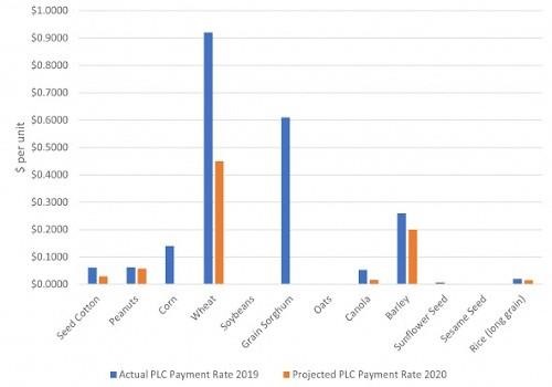 Comparison of 2019 actual and 2020 projected PLC payment rates
