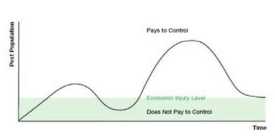 Graph showing economy injury level