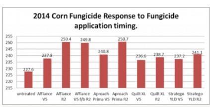 When To Consider Foliar Fungicide Applications On Corn