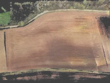 2D derivation of the laser scanner point cloud of the field