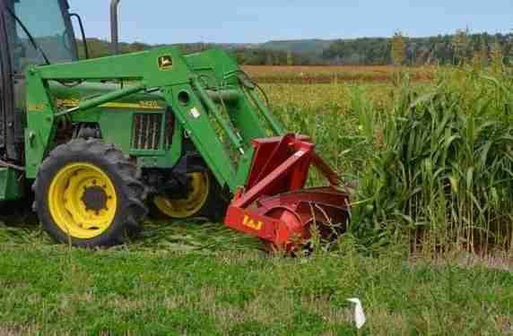 Roller crimper being used to terminate a sorghum-sudan grass summer cover crop