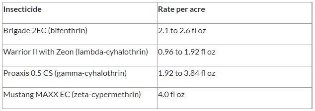 Insecticides with rates for control of army cutworms in winter canola