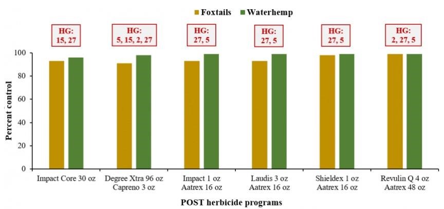 Postemergence (POST) herbicide programs (two to three sites of action) for waterhemp and foxtail species control in corn. Bars indicate percent control at 4 weeks after application