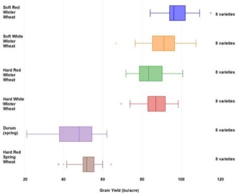 Box-and-whiskers plot showing minimum, 25th percentile, 50th percentile, 75th percentile, and maximum wheat grain yield