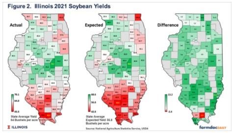 Soybean Yields in Illinois