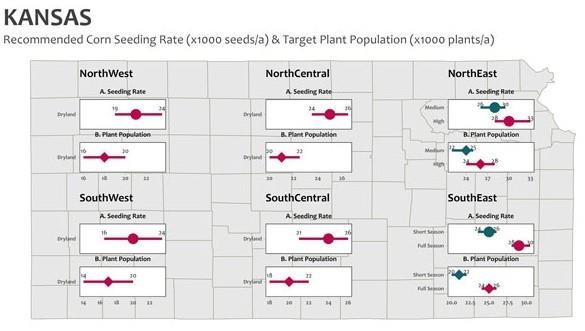 Suggested dryland corn final populations and seeding rates