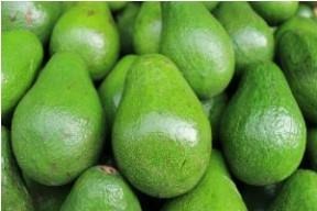 Avocados are nutritious and healthy fruits to eat