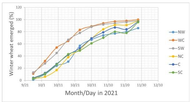 Percent emergence of winter wheat as a function of date for the six major winter wheat producing regions of Kansas