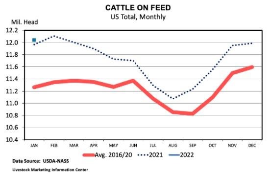 cattle on feed inventory on record