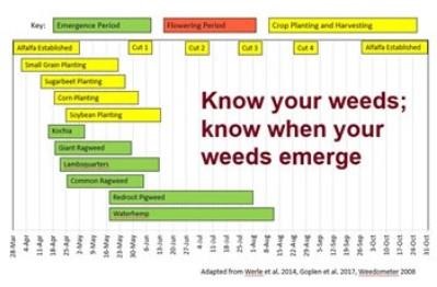 Timeline of weed emergence patterns in relation to crop planting in a growing season