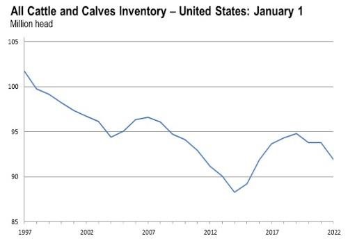 cattle inventory