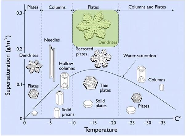 Snow crystal type by a function of temperature and supersaturation in the snow development layer
