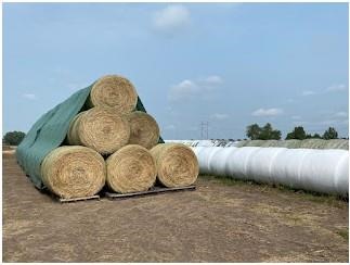 Round hay bales stored using various methods