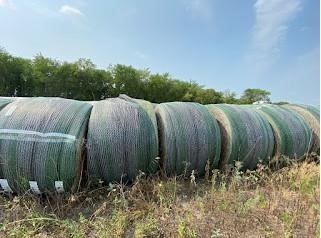 Round hay bales stored