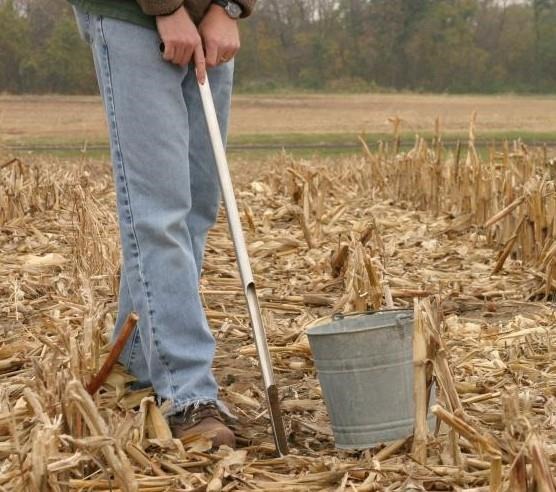 Use a soil probe to collect 15 to 20 soil cores