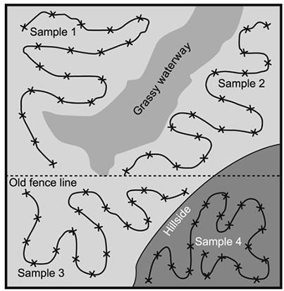 Collect separate multiple-core soil samples from different management zones within a field to account for possible differences in SCN numbers among the areas of the field