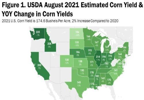 maps USDA’s August 2021 corn yield estimates