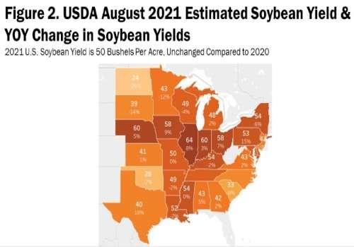 maps USDA’s August 2021 soybean yield estimate