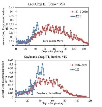 Corn and soybean evapotranspiration