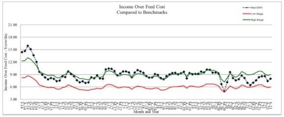 Income over feed cost using standardized rations