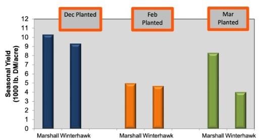 Figure 1. Seasonal yield of late-planted annual ryegrass varieties
