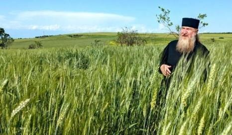 Nikoloz Lomsadze, senior pastor of a church in Dedoflis Tskaro, in eastern Republic of Georgia, looks over his field of mixed barley and wheat. He uses the mixture to make holy sacrament and church feasts.
