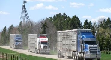 Cattle returning from out-of-state locations