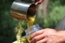 Honey production in Texas was lower than last year