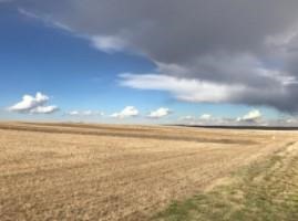 A view of the experimental site in dryland farming in eastern Montana where soil sample