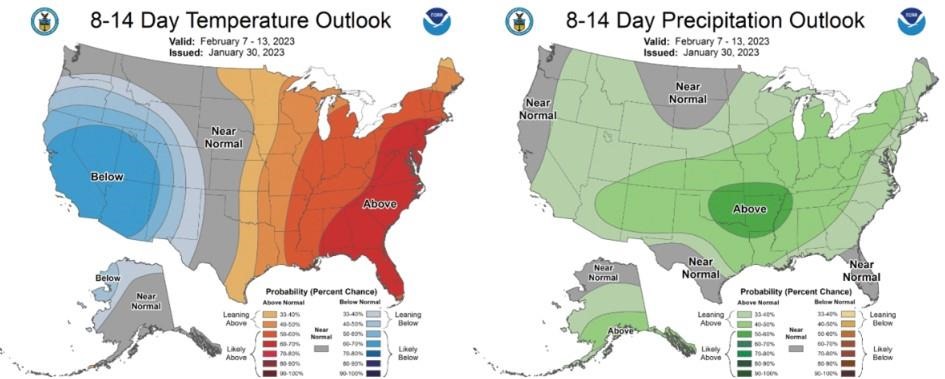 Climate Prediction Center 8-14 Day Outlook valid for February 7 - 13, 2023, for left) temperatures and right) precipitation. Colors represent the probability of below, normal, or above normal conditions.