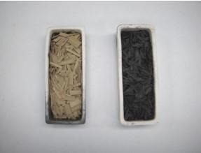 A sample of date palm leaf (left) and biochar (right) used in this study. The study took place in California and date palms are grown across southern California for agricultural use