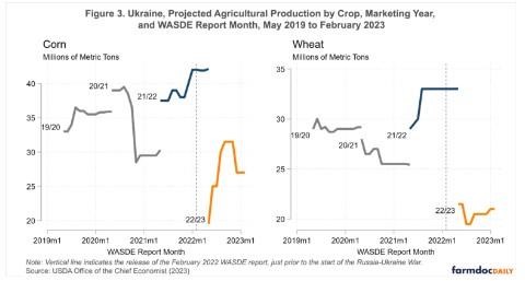 Changes in Expectations for Ukraine Corn and Wheat Production
