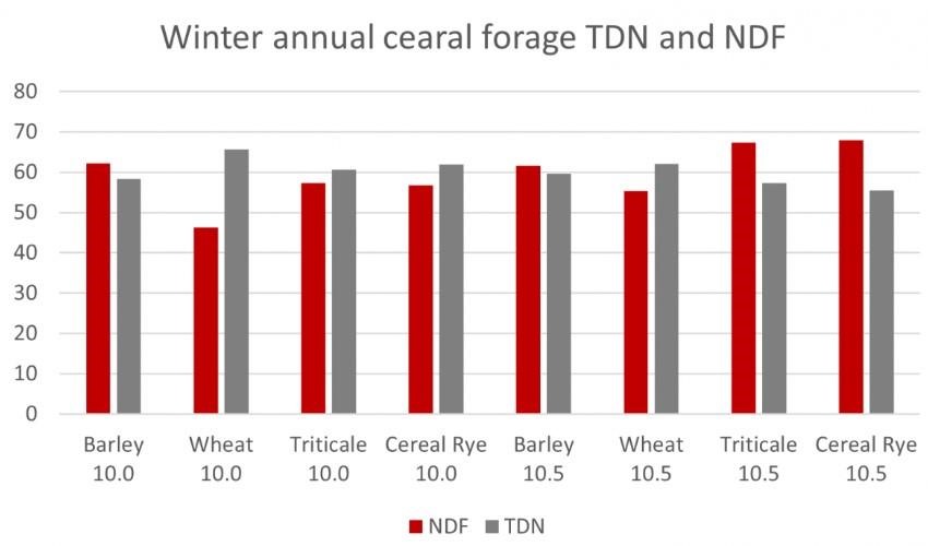 Winter annual cereal forage TDN and NDF