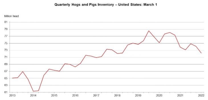 hogs and pigs on U.S. farms