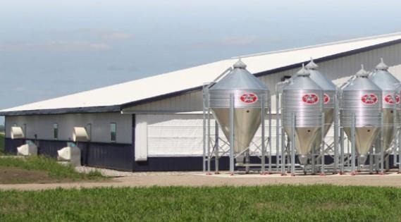 The South Dakota State University off-site wean-to-finish production barn.