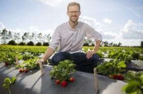 Vance Whitaker, associate professor of horticultural sciences at the UF/IFAS Gulf Coast Research and Education Center