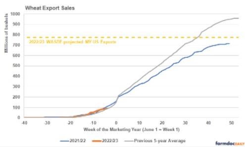 shows US export sales commitments by the week of the marketing year (including both outstanding and accumulated sales after the start of the marketing year