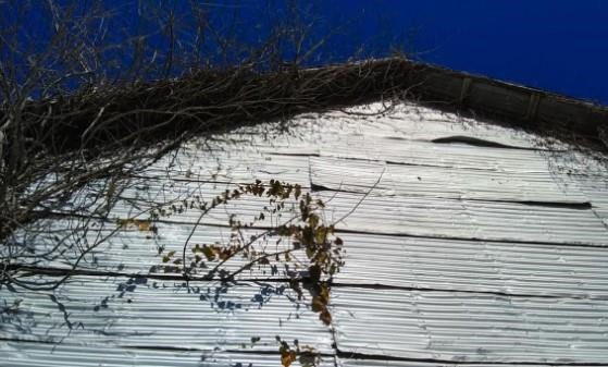 Make sure to document storm damage to your structures with pictures from more than one angle